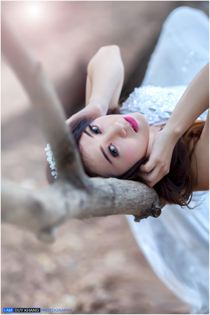 碧丽莎的情人